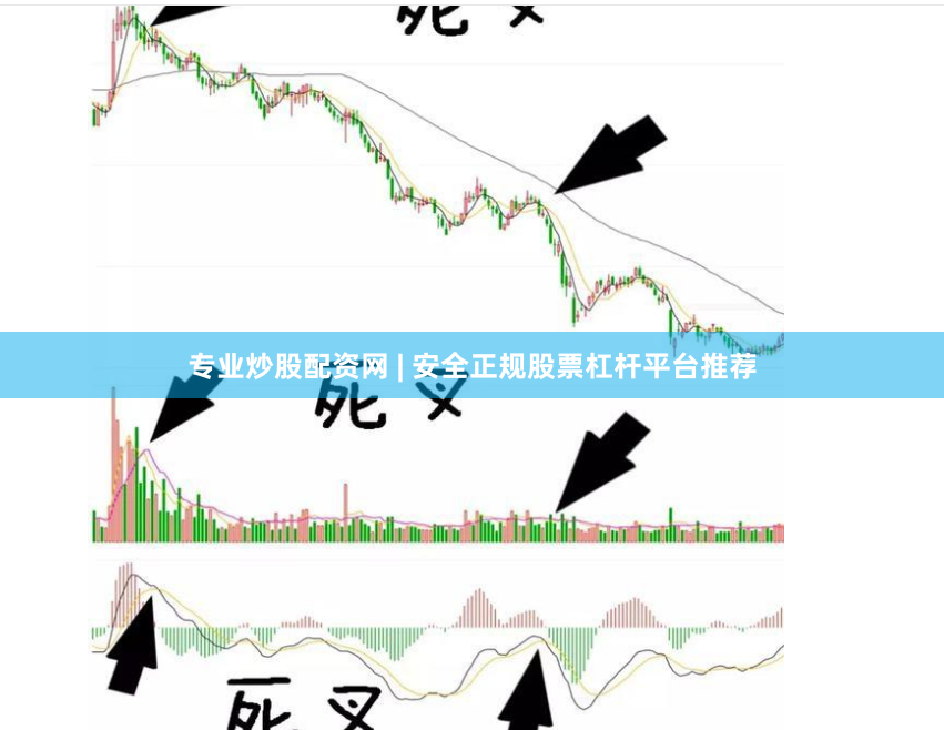 专业炒股配资网 | 安全正规股票杠杆平台推荐